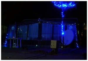 P1050993__1450025566_43437__1450025566_86981