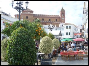 P1060040__1450027379_79753__1450027379_97509