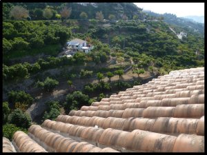 P1060095__1451505073_64835__1451505073_30161