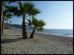 P1060098__1451505116_46687__1451505116_43209