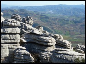 P1020582__1453957130_70033__1453957130_70832