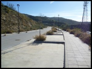 P1060199__1452927307_13620__1452927307_58803