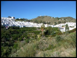 P1060201__1452927428_72367__1452927428_24437