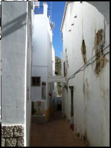 P1060207__1452927615_13501__1452927615_99827