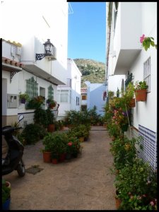 P1060211__1452927762_42983__1452927762_98874