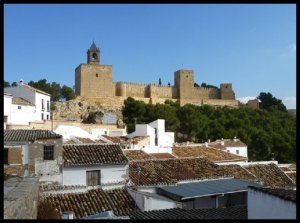 P1060256__1453957680_59637__1453957680_15318