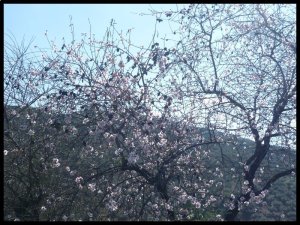 P1060259__1453957728_98667__1453957728_15653