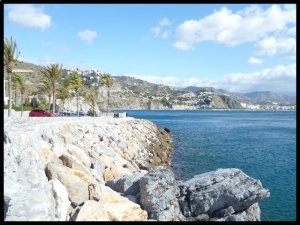 P1060387__1455946578_16893__1455946578_28405