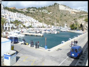 P1060391__1455946697_74182__1455946697_50185