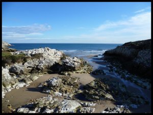 P1060442__1456503051_62093__1456503051_49171