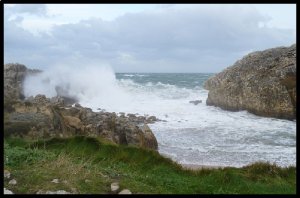 P1060450__1456563933_58935__1456563933_46592