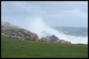 P1060453__1456563973_29302__1456563973_48829