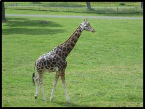 P1060654__1470056725_47220__1470056725_78149