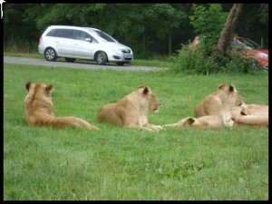 P1060693__1470056875_79688__1470056875_91752