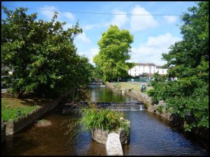 P1060799__1471602119_63096__1471602119_81079