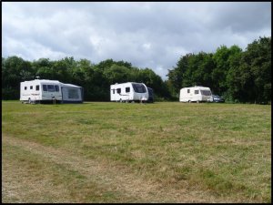 P1060802__1471602226_32524__1471602226_50295