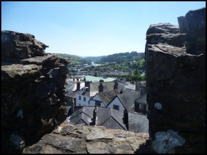 P1060894__1471603348_47432__1471603348_33728