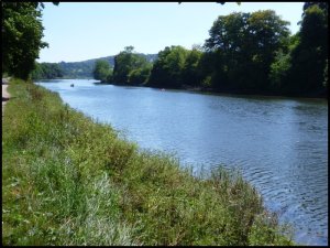 P1060906__1471603471_82933__1471603471_66918