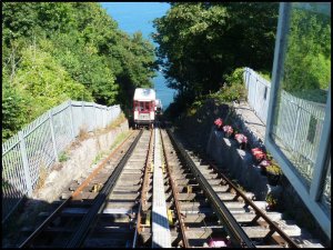 P1060995__1471604056_71035__1471604056_99992