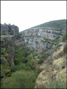 p1070174__1478515395_75407__1478515395_40589