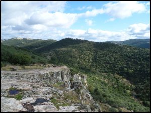 p1070189__1478515529_17417__1478515529_59620