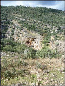 p1070192__1478515590_13113__1478515590_83460