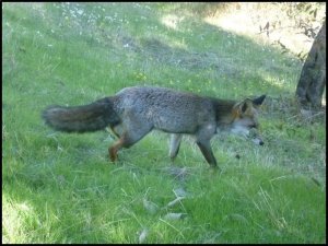 p1070222__1478633549_66432__1478633549_24362