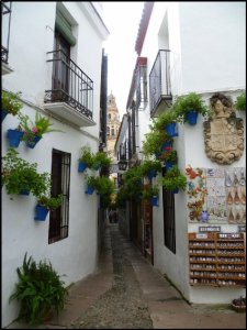 p1070269__1478804051_81771__1478804051_44112