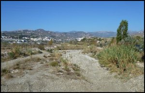 p1070297__1479485624_63461__1479485624_12320