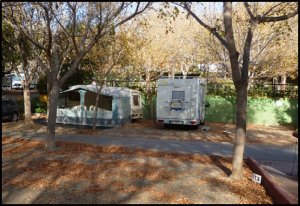 p1070299__1480017067_78048__1480017067_43665