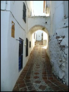 p1010448__1481264164_97183__1481264164_63554