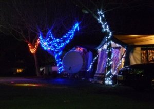 p1010472__1481264782_44674__1481264782_87775