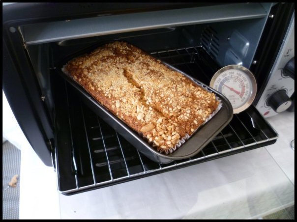 p1010496__1482699143_81352__1482699143_80396