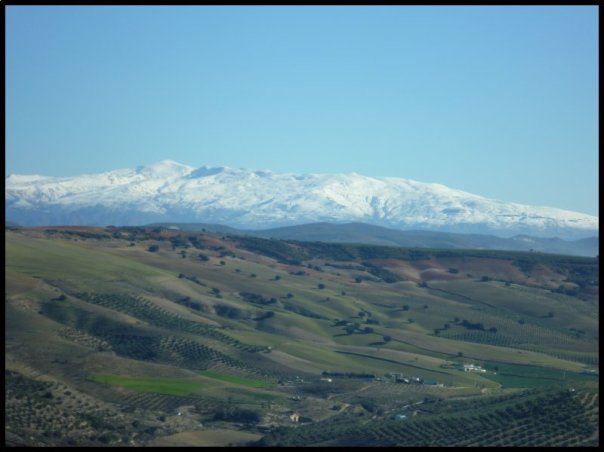 p1010519__1482699521_78151__1482699521_18872