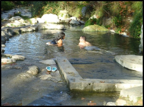 p1010550__1482699836_57599__1482699836_86286