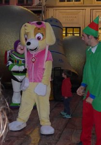 p1000051__1483556669_42726