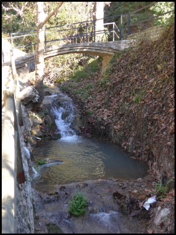 p1000161__1484422241_14201__1484422241_13108