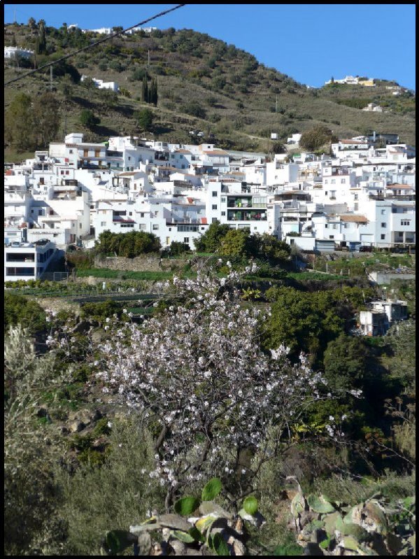 p1000169__1484494424_31137__1484494424_67431