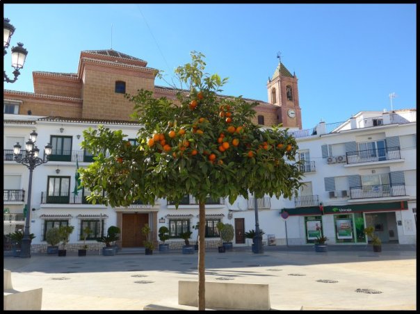 p1000174__1484494481_90482__1484494481_47222