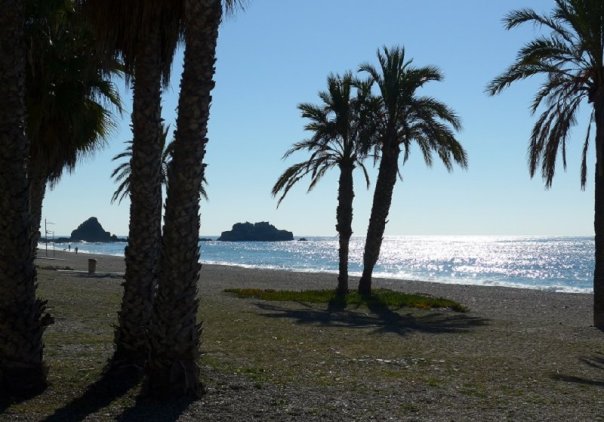 p1000222__1485634281_24217