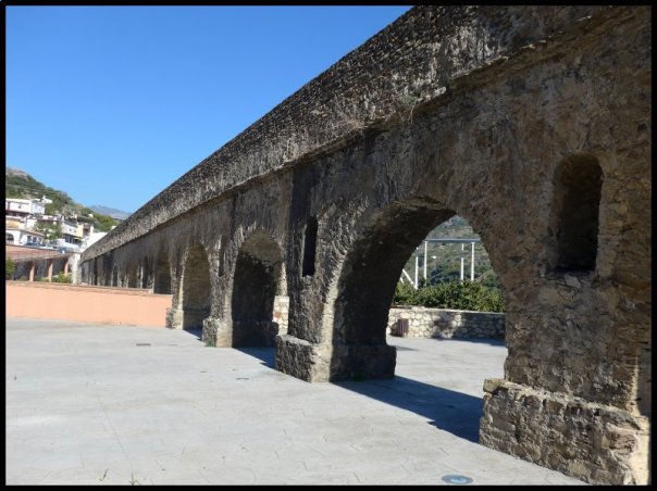 p1000237__1485634518_44234__1485634518_37580