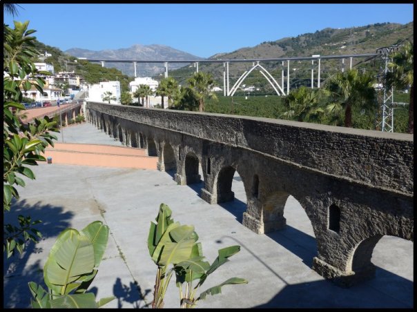 p1000239__1485634571_48701__1485634571_30772