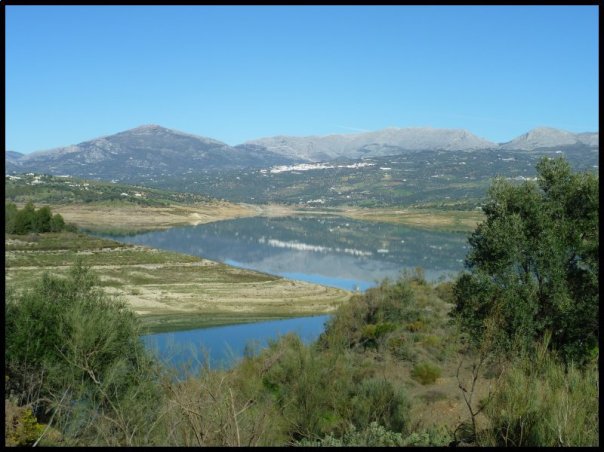 p1010584__1483557072_64346__1483557072_87532