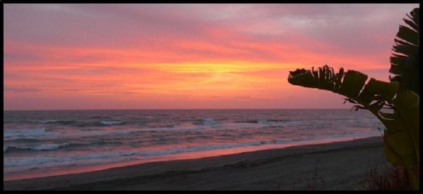 p1000246__1486752322_56252__1486752322_80147