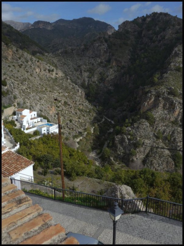 p1000254__1486752494_78341__1486752494_70190