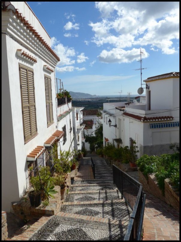 p1000258__1486752606_93640__1486752606_26028