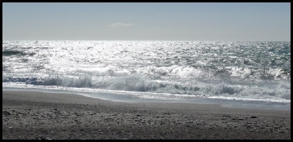 p1000265__1486752782_71117__1486752782_90496