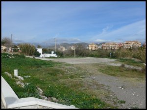 p1000277__1486822698_91937__1486822698_76817