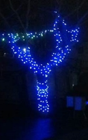 79862571_2216971621937310_6008268035712876544_n