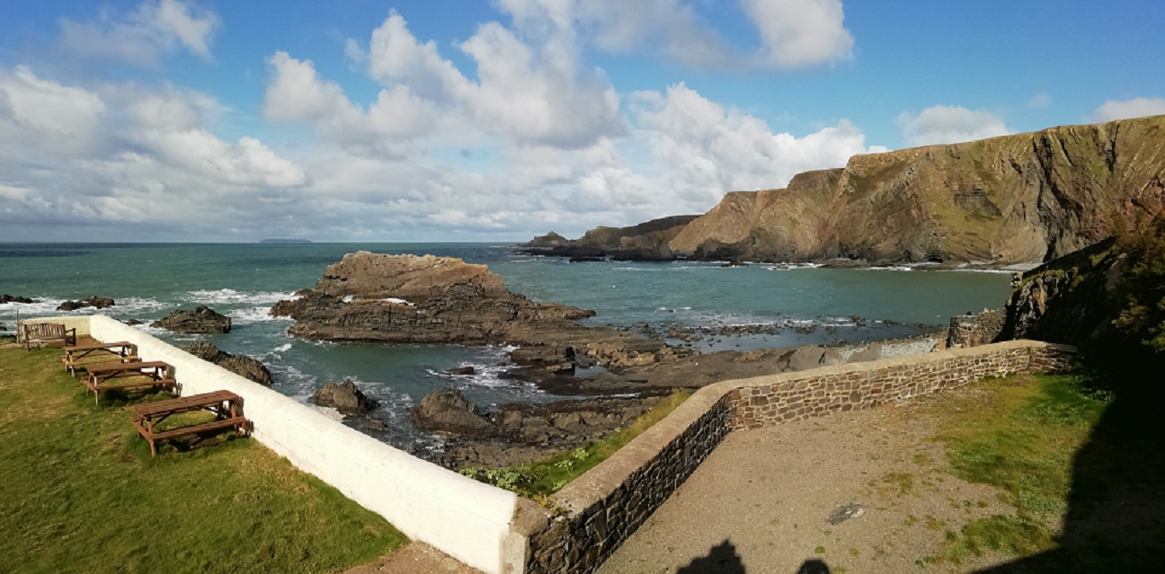 IMG_20201011_142433(1)